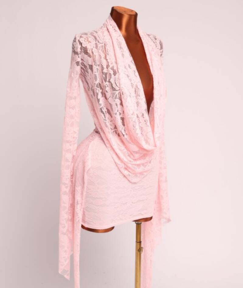 The Blush Babe Lace Mini Dress