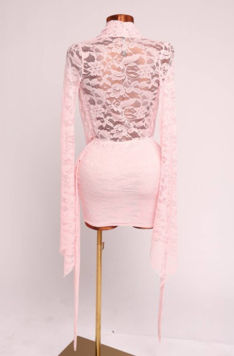 The Blush Babe Lace Mini Dress